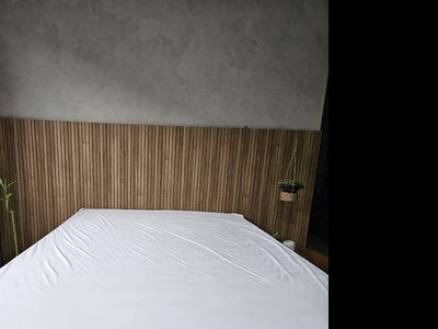 PROTECTOR PLASTICO CON ELASTICO